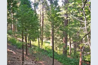 135 N Fairway Drive, Lake Arrowhead, CA 92391 - Photo 9