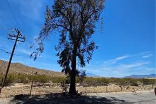 51063 29 Palms Hwy Spc, Morongo Valley, CA 92256 - Photo 13