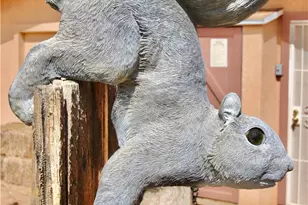 1910 Artesia Ave, Landers, CA 92285 - Photo 31