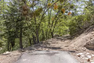 33310 Conway Dr, Running Springs, CA 92308 - Photo 5