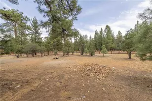 1635 Shenandoah Way, Big Bear City, CA 92314 - Photo 41
