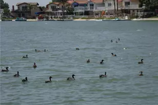 1598 Border Ave, Corona, CA 92882 - Photo 31