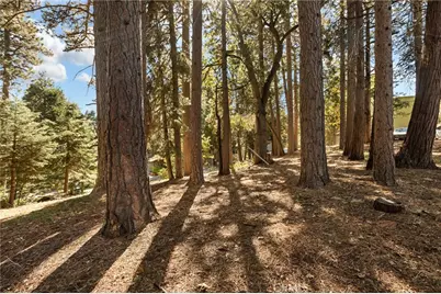 0 Valley View Drive, Running Springs, CA 92382 - Photo 5