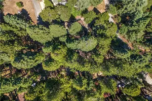 27917 Squirrel Ln, Lake Arrowhead, CA 92352 - Photo 31