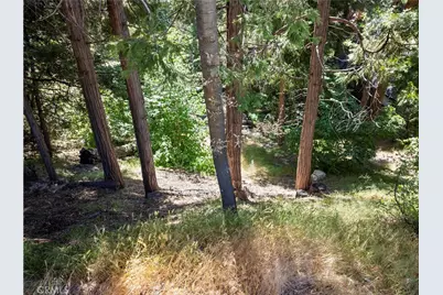 356 Ca-173, Lake Arrowhead, CA 92352 - Photo 1