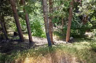 356 CA-173, Lake Arrowhead, CA 92352 - Photo 1
