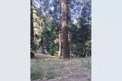 61 Evergreen Drive, Cedarpines Park, CA 92322 - Photo 5