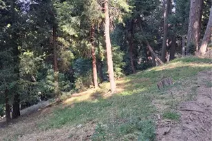 61 Evergreen Dr, Cedarpines Park, CA 92322 - Photo 1