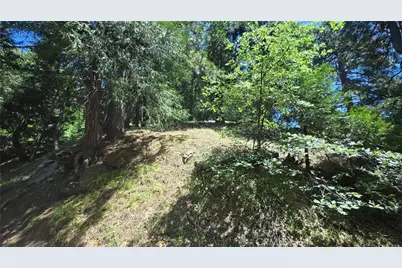 22494 Mojave River Road, Cedarpines Park, CA 92322 - Photo 3