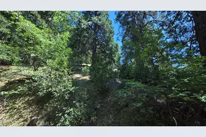 22494 Mojave River Road, Cedarpines Park, CA 92322 - Photo 7