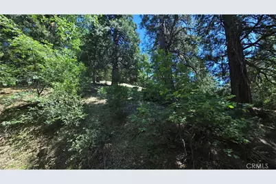 22494 Mojave River Road, Cedarpines Park, CA 92322 - Photo 1