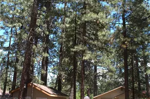 437 Chickadee Dr, Big Bear Lake, CA 92315 - Photo 21