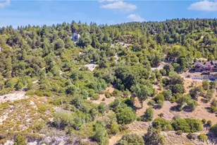 30757 Knoll View Dr, Running Springs, CA 92382 - Photo 59