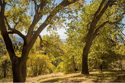 2461 Spring Oak Drive, Running Springs, CA 92382 - Photo 45