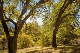 2461 Spring Oak Dr, Running Springs, CA 92382 - Photo 45