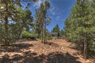497 Cedar Ln, Sugarloaf, CA 92386 - Photo 29