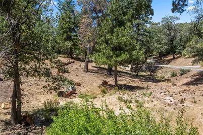 27115 Spring Lane, Lake Arrowhead, CA 92352 - Photo 13