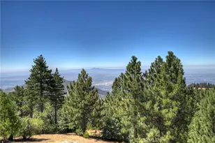 30461 Live Oak Dr, Running Springs, CA 92382 - Photo 63