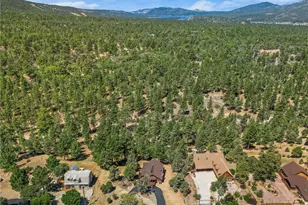 298 Dixie Lee Ln, Big Bear Lake, CA 92386 - Photo 41