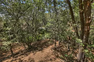1308 Sequoia Dr, Lake Arrowhead, CA 92352 - Photo 47