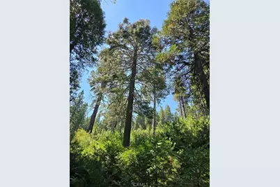 0 Lovers Lane, Cedarpines Park, CA 92322 - Photo 1