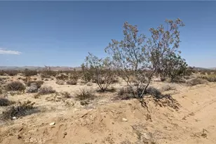 0 Landers Apn 0631-061-64, Landers, CA 92285 - Photo 1