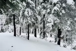 628 Rose Ln, Twin Peaks, CA 92391 - Photo 27