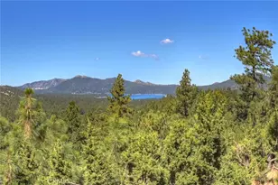 43659 Wolf Rd, Big Bear Lake, CA 92315 - Photo 37