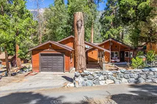 41062 Pine Dr, Forest Falls, CA 92339 - Photo 3