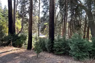 386 Garden Dr, Cedarpines Park, CA 92322 - Photo 43