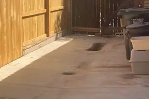 140 Channing St, Redlands, CA 92373 - Photo 31