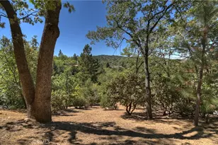 1438 Golden Rule Ln, Lake Arrowhead, CA 92352 - Photo 59