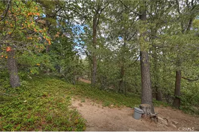 1107 St. Bernard Way, Lake Arrowhead, CA 92352 - Photo 37