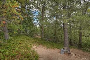 1107 St Bernard Wy, Lake Arrowhead, CA 92352 - Photo 37