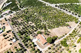 31919 Florida Ave, Mentone, CA 92359 - Photo 3