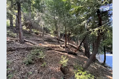 0 Lausanne, Crestline, CA 92325 - Photo 5