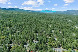 317 Moreno, Sugarloaf, CA 92386 - Photo 47