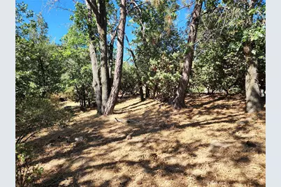 1248 Glacier Drive, Lake Arrowhead, CA 92352 - Photo 5