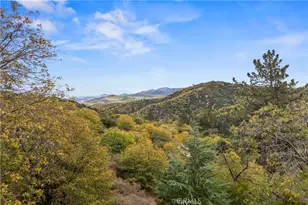 705 Cypress Rd, Cedar Glen, CA 92321 - Photo 35