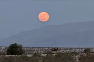 74707 Sunset, 29 Palms MCB, CA 92277 - Photo 41