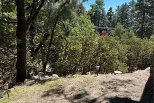 24875 Marion Ridge Dr, Idyllwild, CA 92549 - Photo 21