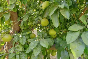 72834 Fleetwood, Palm Desert, CA 92260 - Photo 47