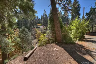 863 Oak Rd, Lake Arrowhead, CA 92386 - Photo 41