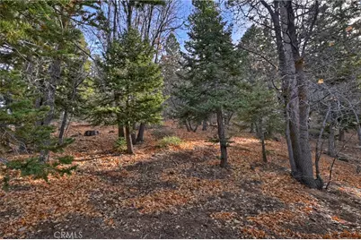 967 Knickerbocker Road, Big Bear Lake, CA 92315 - Photo 25