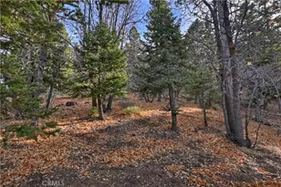 967 Knickerbocker Rd, Big Bear Lake, CA 92315 - Photo 25