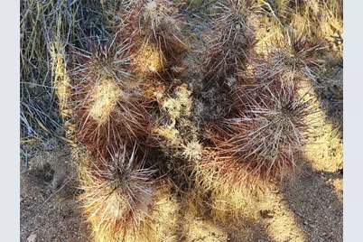 61329 Rocky Vista, Joshua Tree, CA 92252 - Photo 31