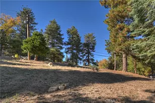 31162 All View, Running Springs, CA 92382 - Photo 5