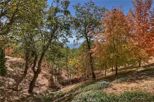 22 Holly Dr, Running Springs, CA 92382 - Photo 51