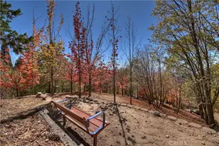 22 Holly Dr, Running Springs, CA 92382 - Photo 53