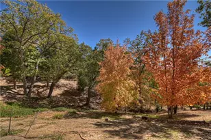 22 Holly Dr, Running Springs, CA 92382 - Photo 51